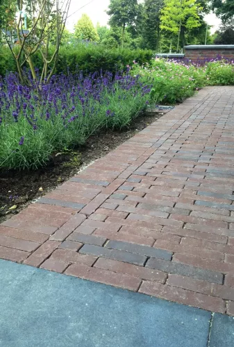 Vandersanden 1000x WF60 Gebakken klinker Bergamo Antica  (SPWR0808A7BG.OOTM)