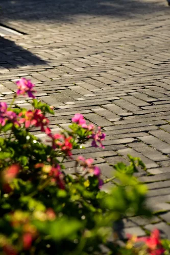 van der sanden 1000x WF60 Gebakken klinker Lucca Antica  (SPWR0829A7BG.OOTM)