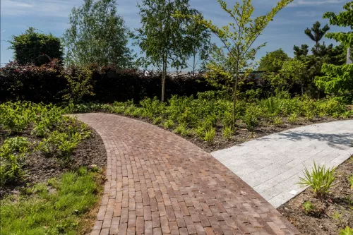 van der sanden WF60 Gebakken klinker Verona antica  (SPWR0845A6OG.OOTM)