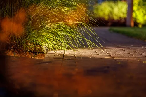 LightPro Tiga DL (209S)