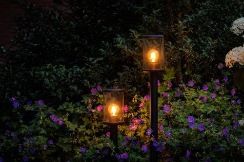 LightPro Eros Hi (214P)